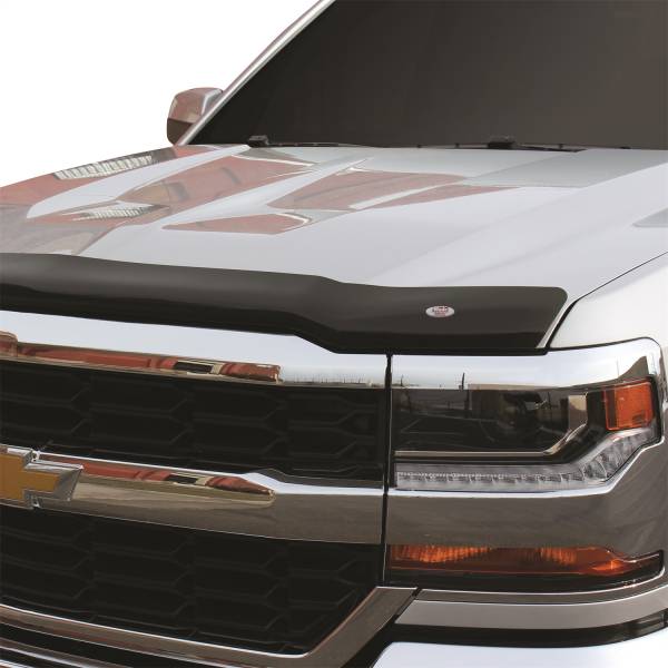 Westin - Westin Platinum Bug Shield 72-91138