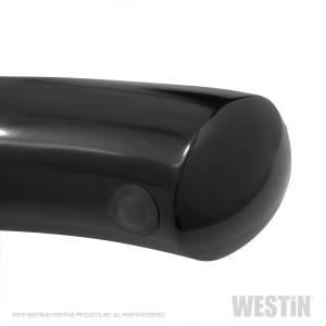 Westin - Westin PRO TRAXX 4 Oval Nerf Step Bars 21-24165 - Image 1